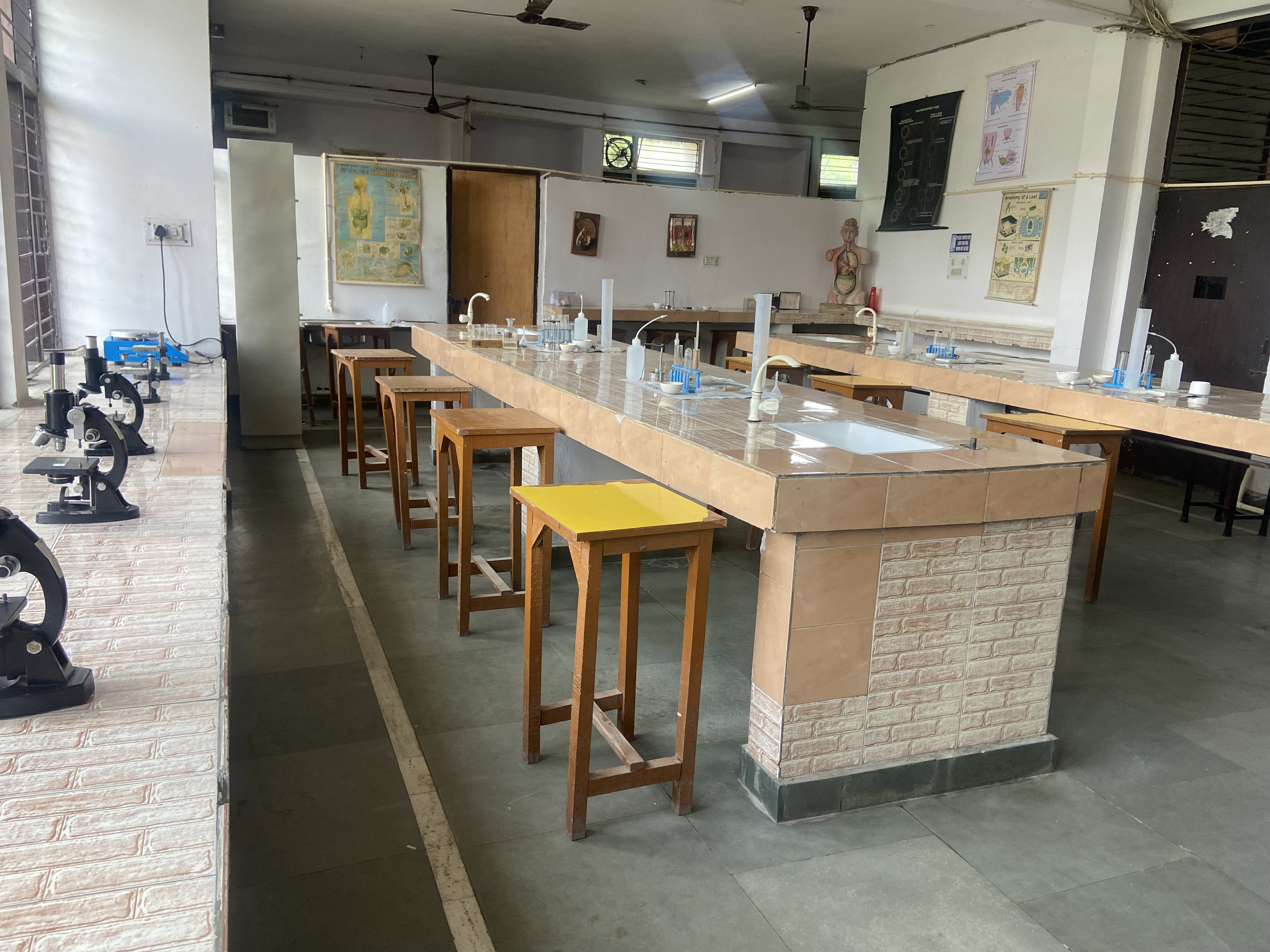 undergraduate education