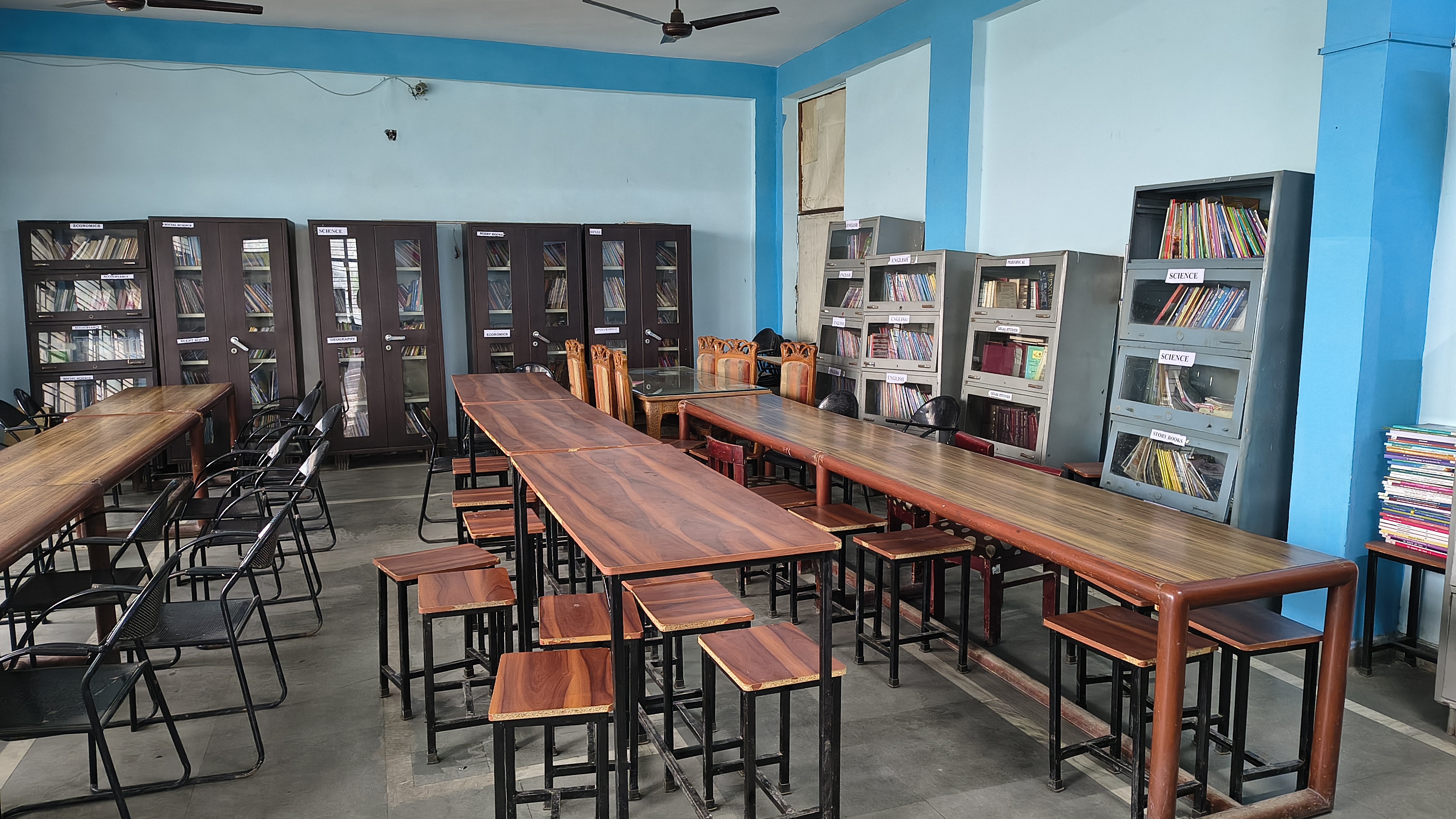 undergraduate education